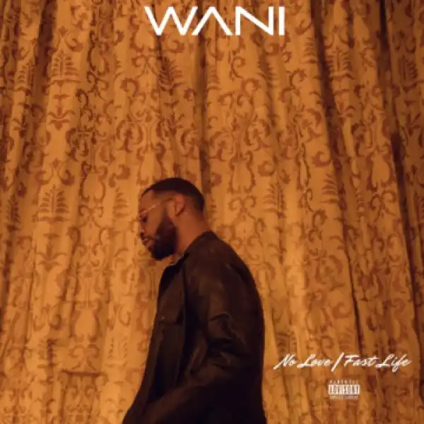 Lagos City Vice BY Wani